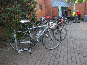 RTF Almabtrieb 265
